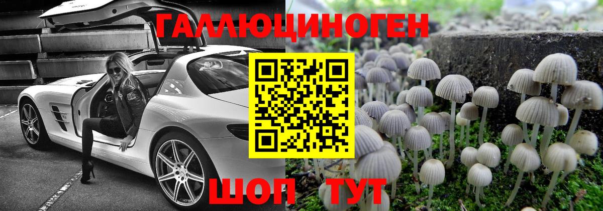 Галлюциногенные грибы Psilocybine cubensis Вичуга